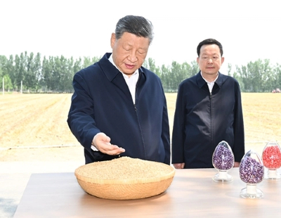 炒作