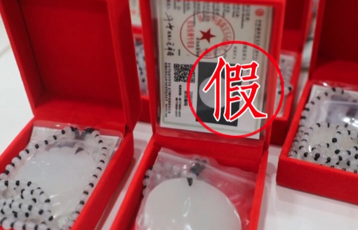 徐艺真上综艺