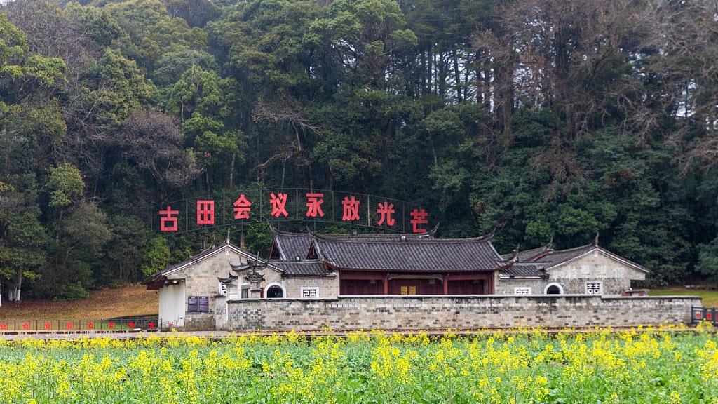 林诗栋张本智和