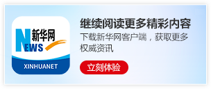 王毅将访问丹麦、瑞典、芬兰、挪威