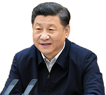 外交部:中方始终愿在平等友好基础上推动同印度各领域合作