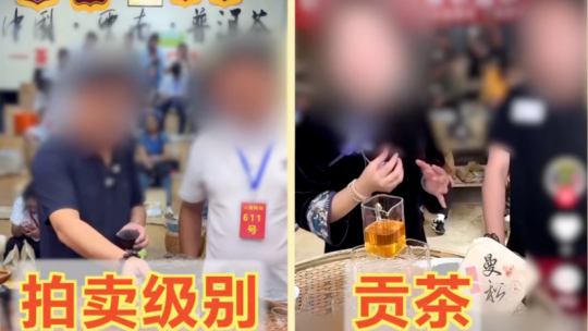 对战