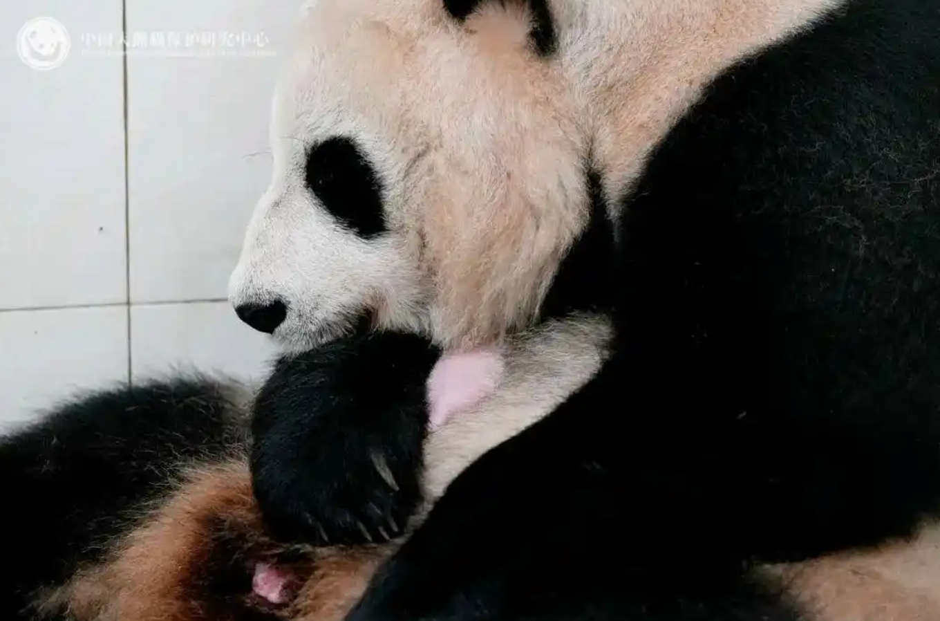 俄罗斯研学团走进东宁校园沉浸式体验中国端午民俗