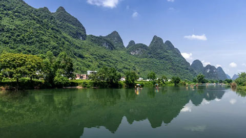 莽小五上树