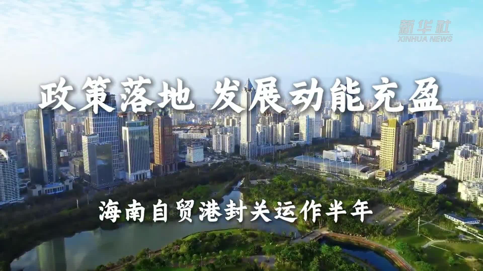 第五人格