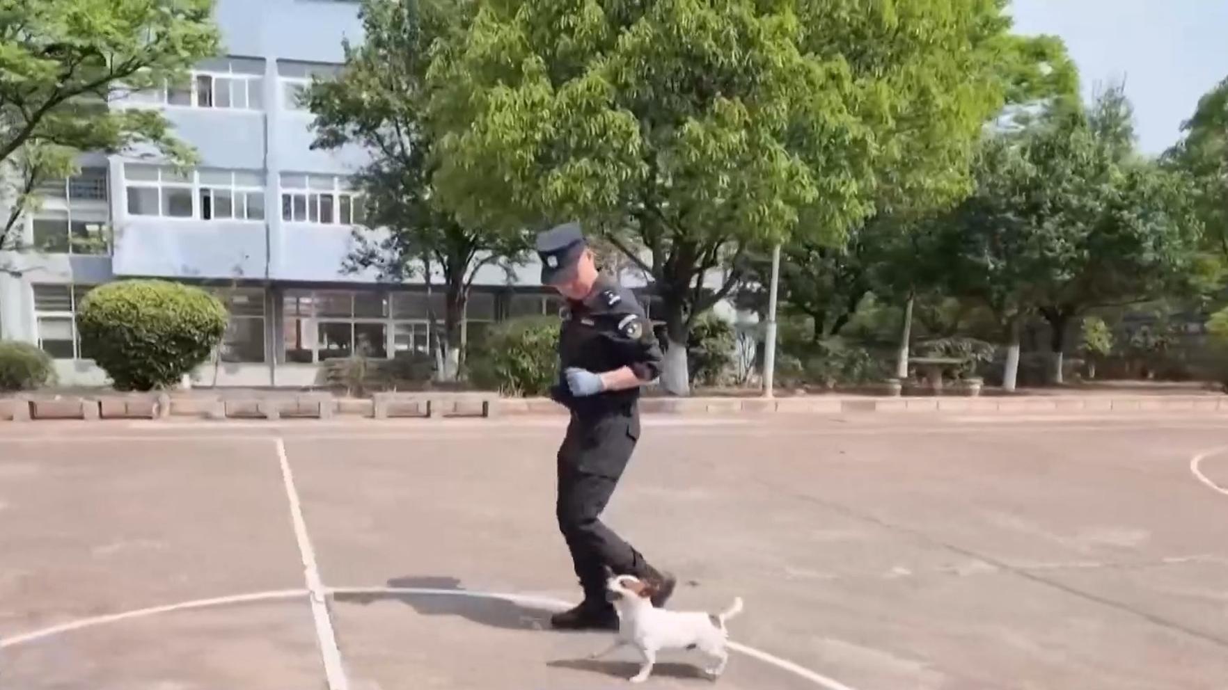 朱雀三号重复使用遥二运载火箭完成静态点火试验