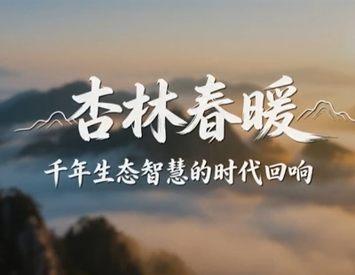 郑钦文决赛前吃了退烧药