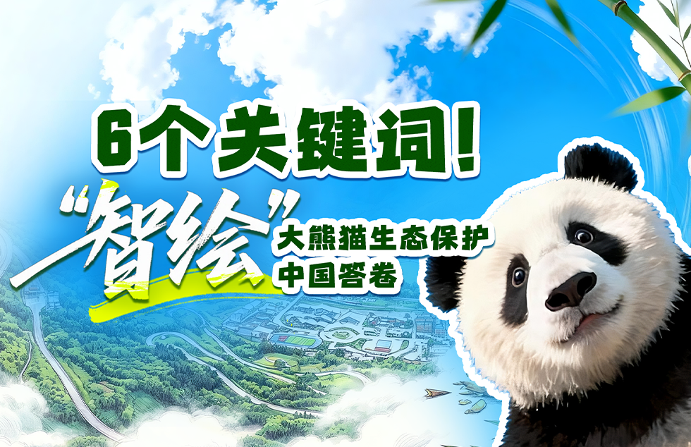桂花焦糖烤奶